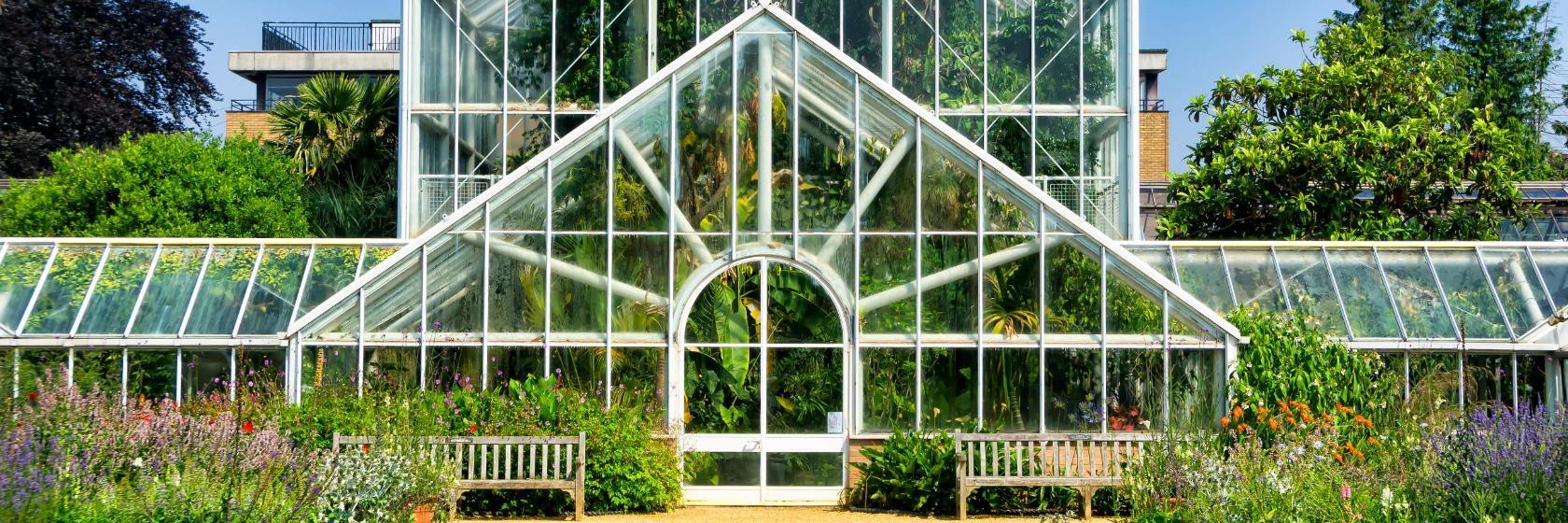 Giardino Botanico dell'Università di Cambridge